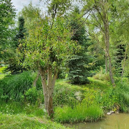 Kamilla Kulcsoshaz Villa Sub Cetate Bagian luar foto