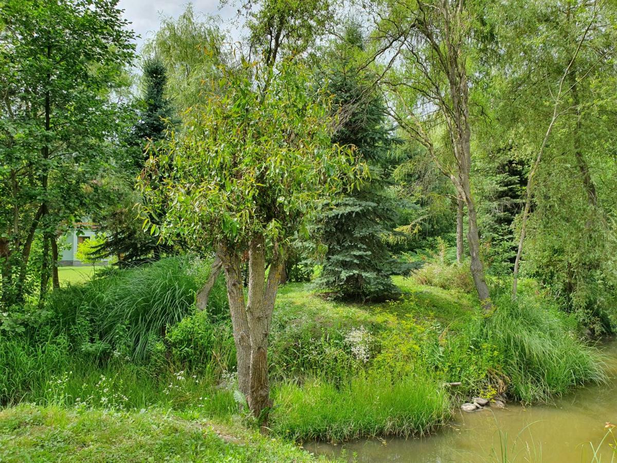 Kamilla Kulcsoshaz Villa Sub Cetate Bagian luar foto