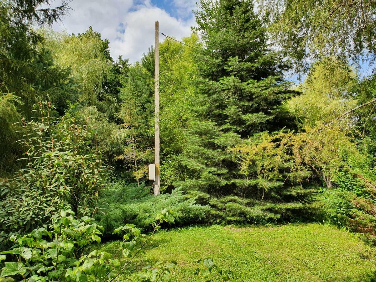 Kamilla Kulcsoshaz Villa Sub Cetate Bagian luar foto